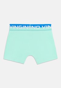 Šviesiai mėtiniai šortai su mėlynu elastingu dirželiu, ant kurio yra baltos raidės. Lygus paviršius ir tiesūs kraštai.