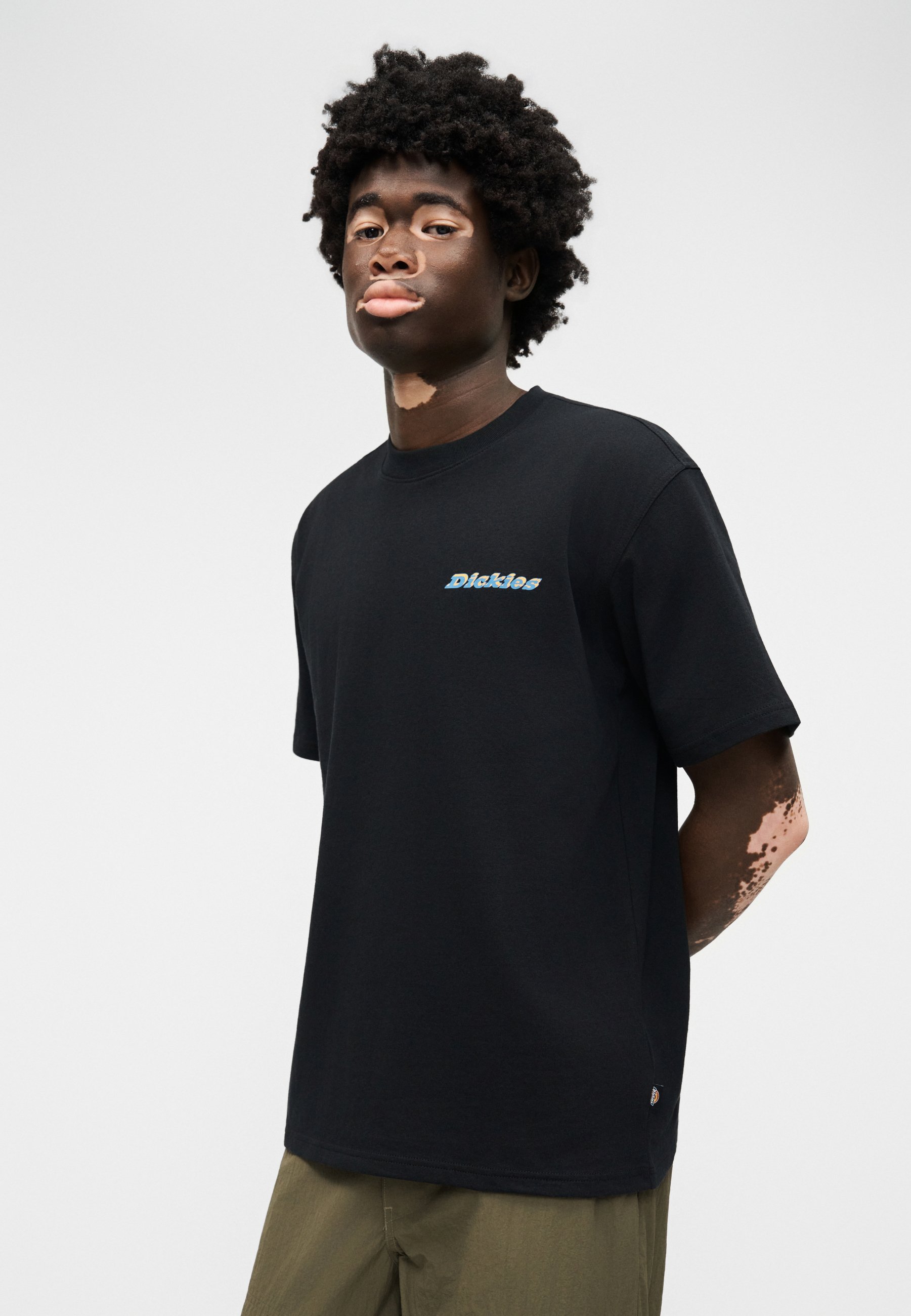 Dickies THORNVILLE TEE - T-shirt estampada - black/preto - Zalando.pt