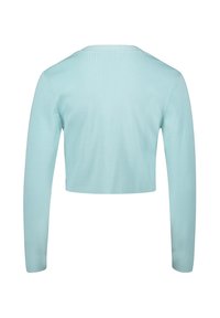 Lichtblauw, cropped langetermijn trui met een ronde halslijn en een gladde, gestructureerde stof, met een schoon, minimalistisch ontwerp.