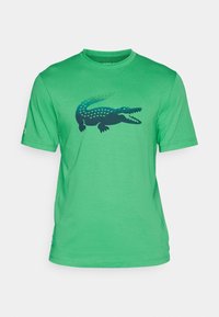 Neizvēlēts, calathea