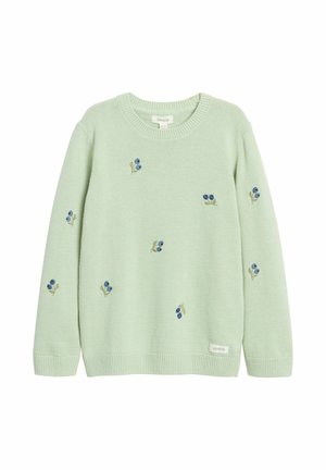 Jasnozielony sweter z dzianiny z małym niebieskim haftem jagód i liści rozmieszczonym z przodu i na rękawach, z prążkowanymi mankietami i obszyciem.