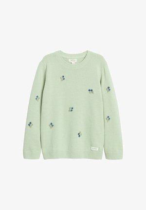 Hellgrüner Strickpullover mit kleinen blauen Beeren- und Blattstickereien, die vorne und an den Ärmeln verteilt sind, mit gerippten Bündchen und Saum.