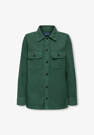 Camicia a maniche lunghe verde scuro, con bottoni, dotata di due tasche con pattina sul davanti e colletto classico, mostrata su uno sfondo bianco.