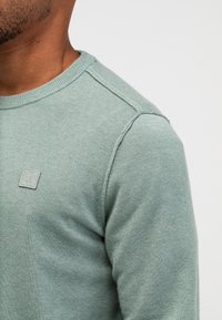 Hellgrüner Pullover aus weichem Stoff mit Rundhalsausschnitt, dezentem Nähedetail und kleinem Logo-Patch auf der Brust.