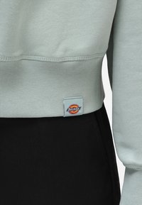 Sudadera verde claro con un acabado texturizado, que presenta una etiqueta cuadrada de Dickies en el dobladillo, combinada con pantalones negros.
