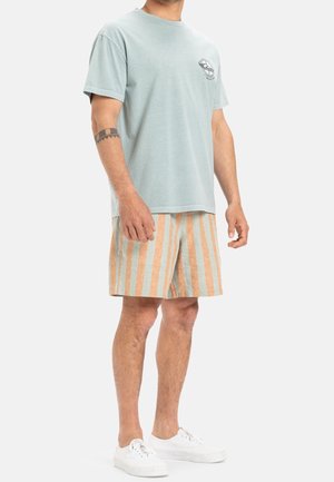 Hellblaues Baumwoll-T-Shirt mit einem Motiv auf der Brust, kombiniert mit beige-orange gestreiften Shorts. Das Modell trägt weiße Sneakers.