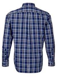 Camicia a maniche lunghe a quadretti blu e bianchi con colletto button-down, orlo dritto e polsini con un solo bottone. Materiale in cotone con texture liscia.