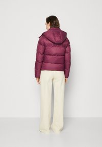 Calvin Klein Jeans ARCHETYPE SHORT PUFFER - Dūnu jaka - amaranth