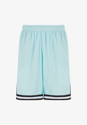 Heledad sinise värvi spordilühikesed püksid, millel on elastne vöökoht ja must-valged triibud alläärtes. Valmistatud hingavast võrkkangast.