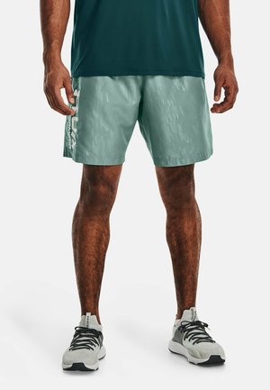UA   - Sports shorts - fresco green