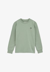 Neselectat, pastel green