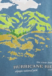 Blå t-shirt med ett landskapsmotiv med gröna berg, gyllene fält, moln och texten "HURRICANE RIDGE olympic national park."
