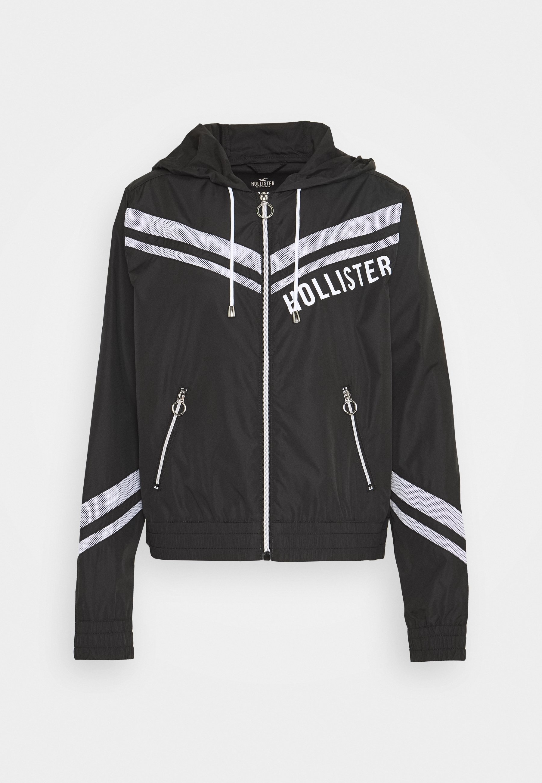 coupe vent hollister
