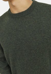 Dunkelgrüner Strickpullover mit Rundhalsausschnitt, geripptem Kragen und strukturiertem Stoff. Nahaufnahme zeigt weiche, gemischte Garn Details.