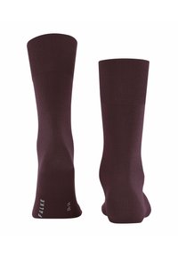 FALKE CLIMA  - Calze - barolo