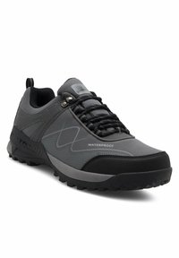 Gray and black waterproof hiking shoe with rugged sole, lace-up front, and outdoor branding on the heel.