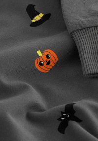 Next HALLOWEEN  - REGULAR FIT - Långärmad tröja - charcoal grey