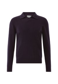 Dunkelvioletter Pullover mit langen Ärmeln, V-Ausschnitt und flachem Kragen, mit gerippten Bündchen und Saum, aus einem weichen, strukturierten Material gefertigt.