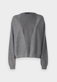 MIRALA - Gilet - grey