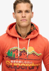 Superdry & Co GREAT GRAPHIC - Hoodie - rust orange marl