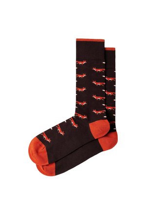 Hackett London, HACKETT LONDON SOCKS FOX SOCKS - Sokken - ebony brown