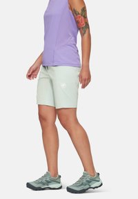 Mammut DUCAN - Träningsshorts - silver sage