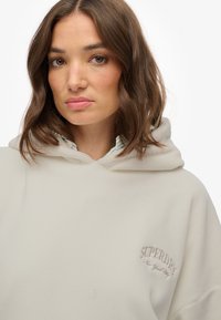 Felpa con cappuccio grigio chiaro, con una texture a coste. Logo "Superdry" ricamato in marrone sul davanti. Fit morbido e rilassato con scollo ampio.