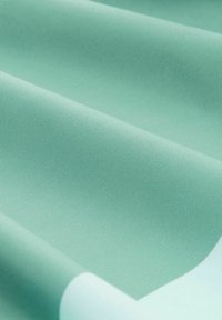 TOM TAILOR Plavecké šortky - mint moss