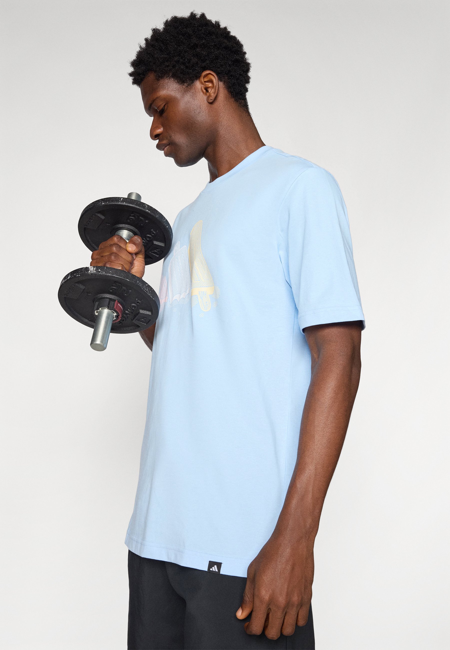 【Adidas Originals】 Lounge アイス グラフィックTシャツ adidas】 アディダス M ICE グラフィック Tシャツ ショート
