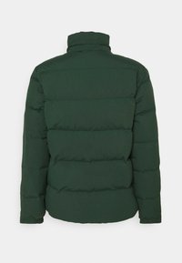 Patagonia DOWNDRIFT JACKET - Casaco de penas - northern green