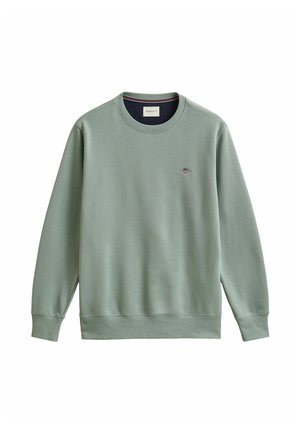 Lichtgroene trui met ronde hals, lange mouwen, geribbelde manchetten en zoom, en een klein geborduurd schildlogo op de borst.