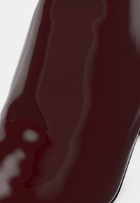 Talons aiguilles bordeaux brillants, avec une texture lisse et une silhouette épurée ; avec un bout pointu et un talon stiletto noir slim.
