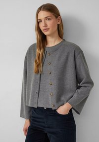 Grau, verkürzter Pullover mit rundem Ausschnitt und Knopfverschluss, ausgestattet mit langen Ärmeln und einer weichen Textur, kombiniert mit dunklen Hosen.
