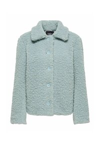 Fuzzy light blue jacket made from soft material, featuring a collared neckline and six buttons down the front. Textured finish throughout.