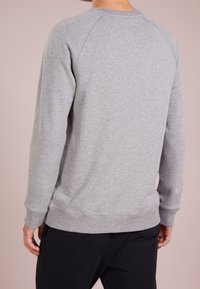Sudadera gris con cuello redondo, mangas raglán y puños acanalados. Tejido suave, corte holgado, con una textura lisa y sin patrones.