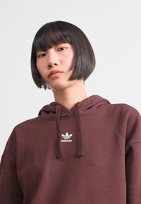 adidas Originals HOODIE - Camisola - shadow brown