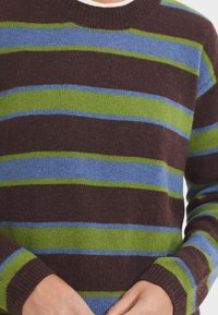 Pull en tricot avec des rayures horizontales marron, vert et bleu, présentant un col rond et des poignets côtelés, fabriqué dans un tissu doux.