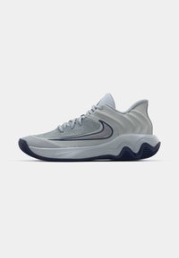 GIANNIS IMMORTALITY 4 - Basketball shoes - wolf grey/metallic platinum/pure platinum