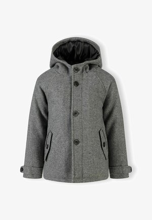 HOODED REGULAR FIT - Abrigo de invierno - dark grey
