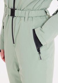 Whistler Overall - mint