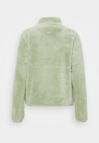 Giacca in pile verde chiaro a maniche lunghe con colletto alto, mostrata da dietro, caratterizzata da una texture morbida e soffice.