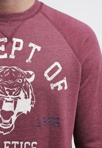 Pier One Sudadera - mottled bordeaux
