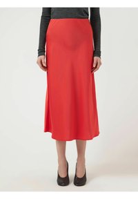 Nepasirinkta, poinsettia