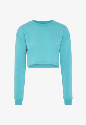 Turquoise langesleeve cropped sweatshirt met geribbelde ronde halslijn en manchet op een witte achtergrond.