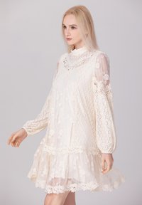 Robe en dentelle blanc cassé avec un col montant, de longues manches transparentes, des motifs floraux et un ourlet festonné, présentant des détails en dentelle complexes.