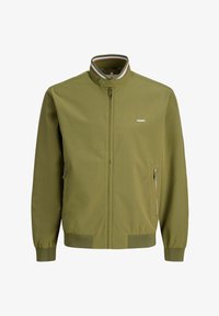 Non selezionato, winter moss