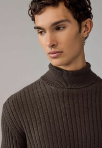 Next ROLL NECK - REGULAR FIT TEXTURE - Strickpullover - brown