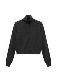 Dark gray cropped sweater with a high collar, long sleeves, and front buttons. Soft texture with ribbed detailing on the cuffs.
