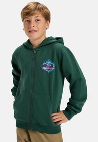 Sudadera verde con cremallera hecha de algodón suave, que cuenta con un bolsillo frontal y un logotipo colorido con llamas. Tejido texturizado, diseño clásico.