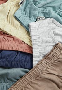 Next BRIEFS 7 PACK - Īsās apakšbikses - scandi colours